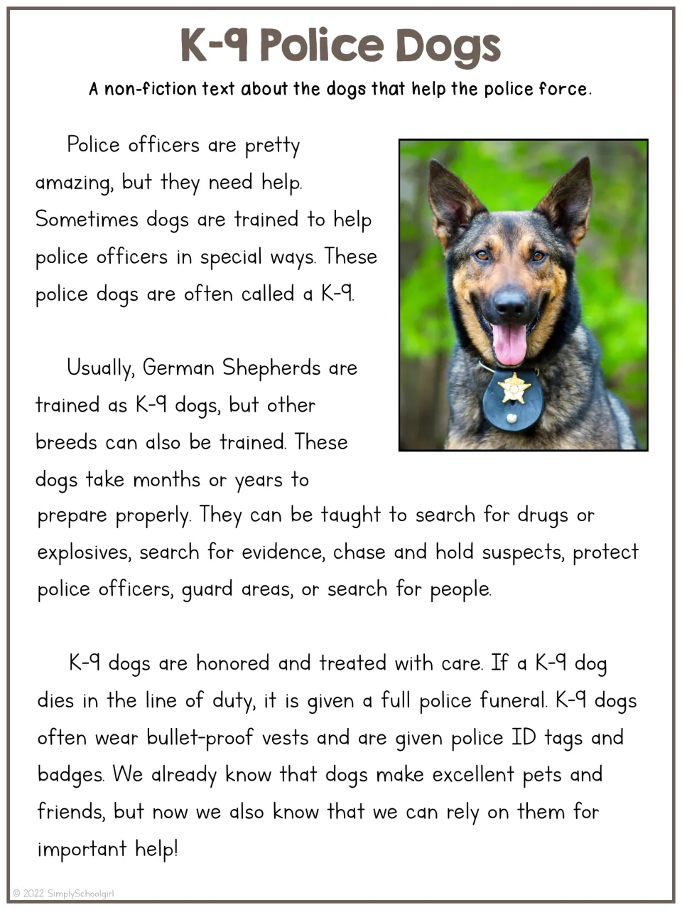 K-9 Police Dogs nonfiction reading: how German Shepherds are trained to help police and how K-9 dogs are honoured
