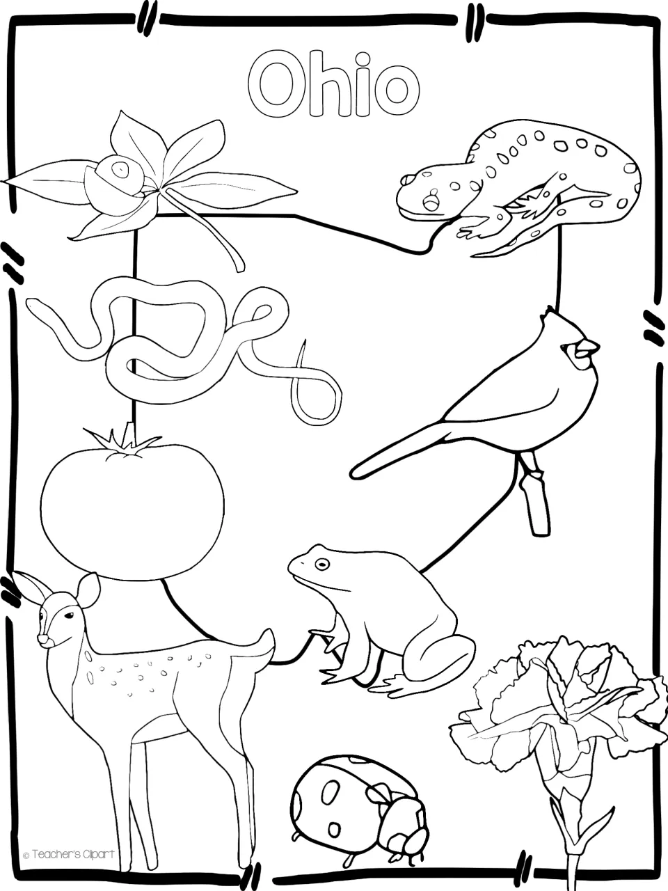 Ohio outline coloring page: students color a cardinal, deer, buckeye, carnation, ladybug, frog, tomato, snake, salamander