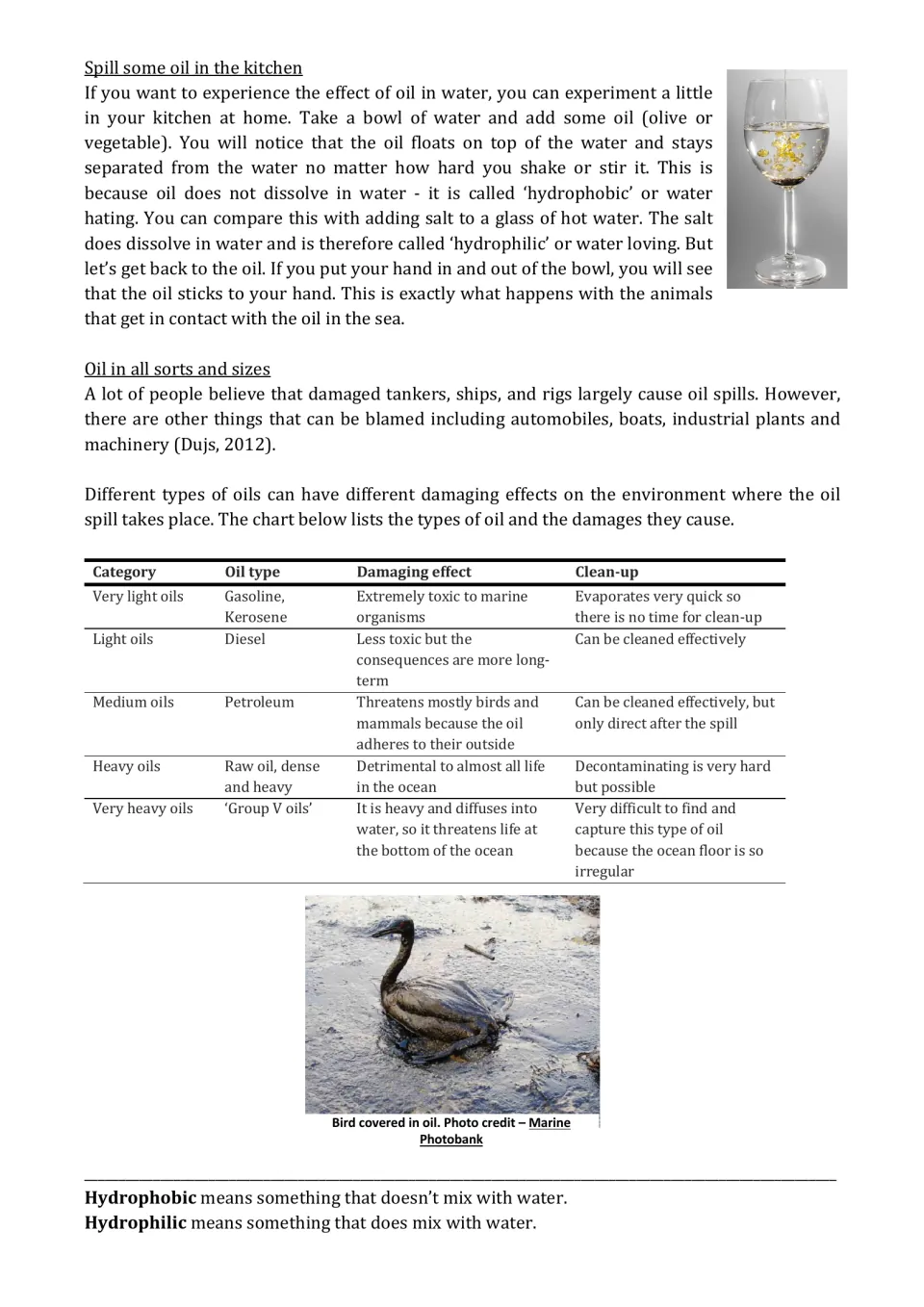 Oil and water: students read a kitchen experiment on hydrophobic oil and a chart of five oil types and their damage