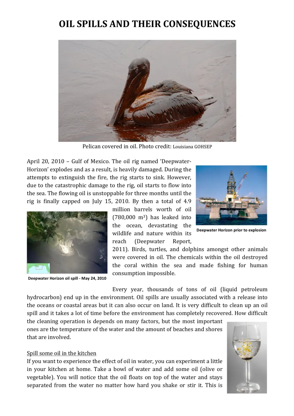 Oil Spills and Their Consequences: article on the 2010 Deepwater Horizon spill with an oiled pelican photo and kitchen test