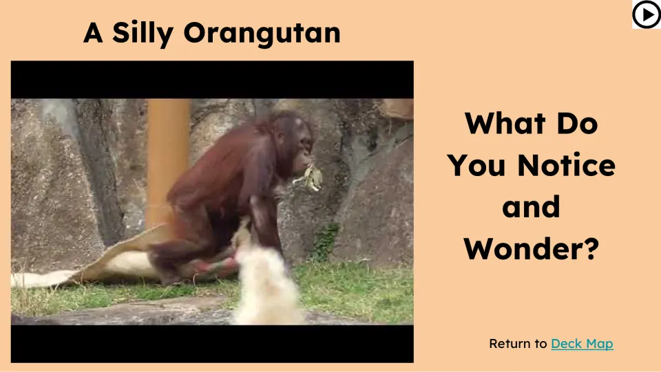 Opening video prompt titled 'A Silly Orangutan' asks students, 'What Do You Notice and Wonder?'