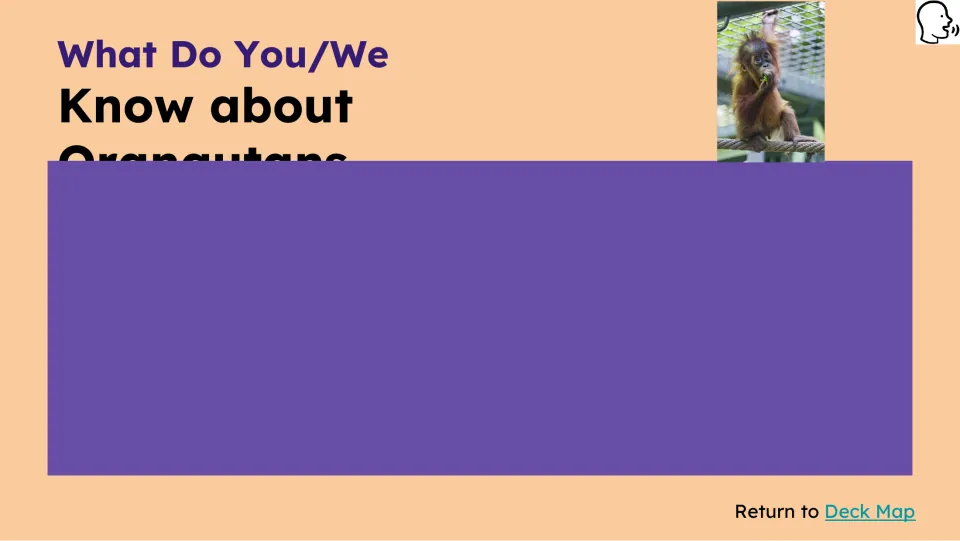 Prior-knowledge slide asks what students know about orangutans; part of the heading is covered