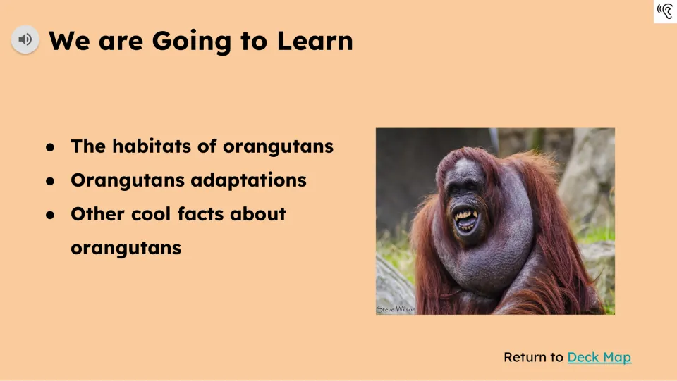 Learning preview names orangutan habitats, adaptations, and other facts as the topics students will learn