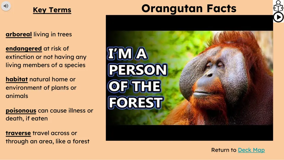 Video lesson slide defines arboreal, endangered, habitat, poisonous, and traverse beside an orangutan video