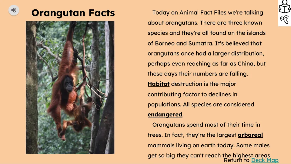 Opening reading passage covers three orangutan species, Borneo and Sumatra, habitat loss, and life in trees