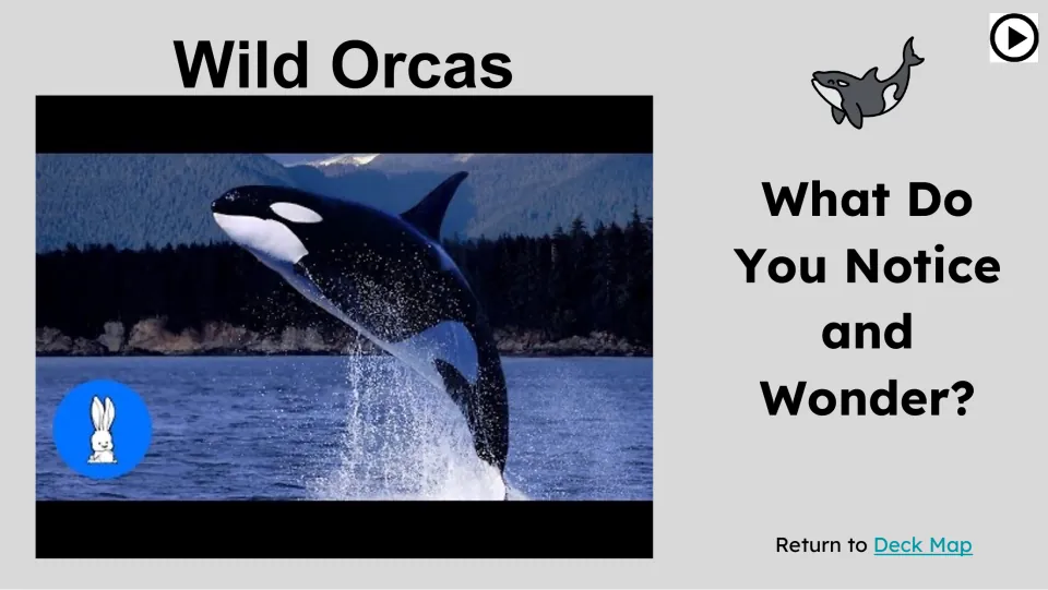 Wild Orcas engager slide pairs an orca video still with the prompt “What Do You Notice and Wonder?”