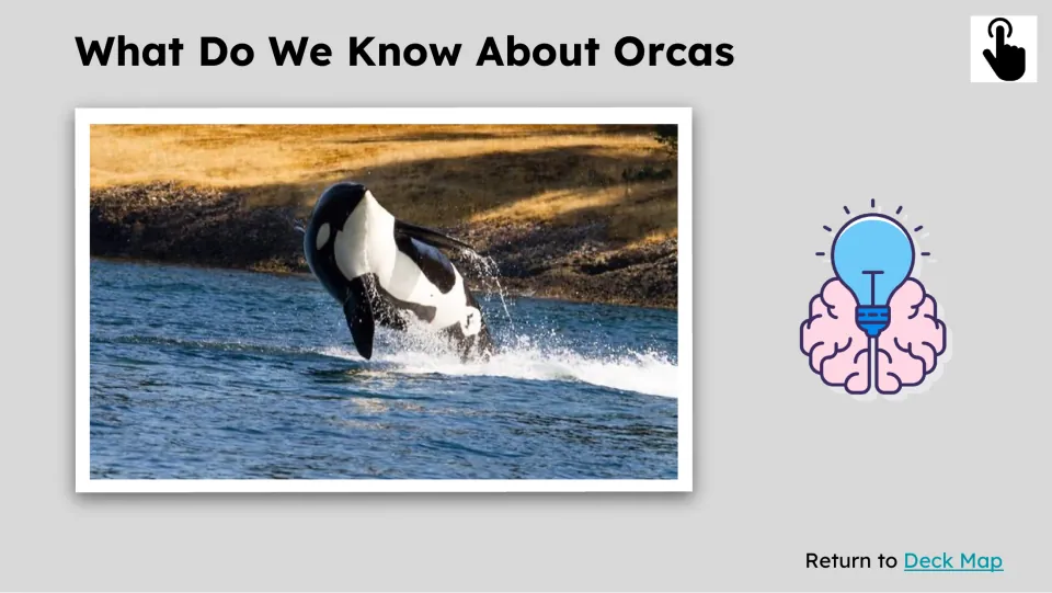 Prior-knowledge slide titled “What Do We Know About Orcas” shows an orca breaching near the shoreline.