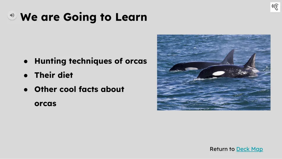 Learning preview identifies hunting techniques, diet, and other orca facts as the lesson's topics.
