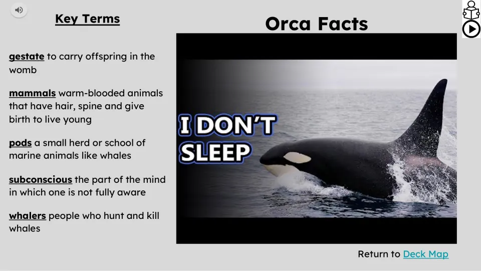 Vocabulary and video slide defines gestate, mammals, pods, subconscious, and whalers beside an orca video.