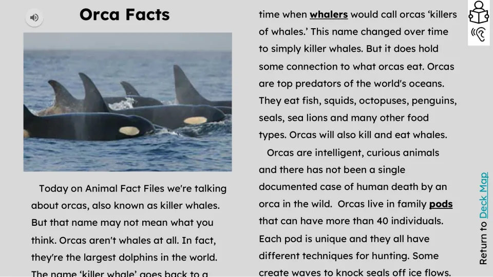 Reading passage introduces orcas as dolphins and describes the killer whale name, diet, pods, and hunting.