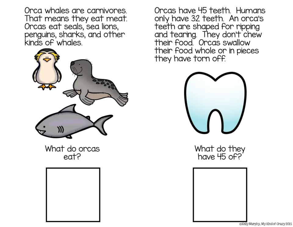Color adapted book pages 3–4: passages about orca food and teeth, asking what orcas eat and what they have 45 of