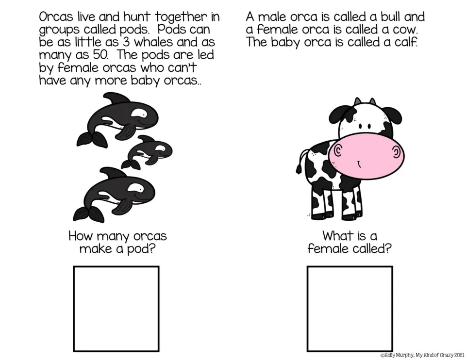 Color adapted book pages 5–6: orca pods and bull, cow, and calf names, with questions on pod size and females