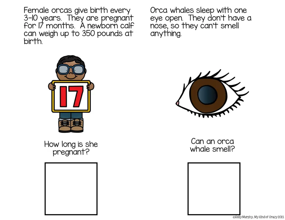 Color adapted book pages 7–8: passages on orca birth, sleep, and smell, with pregnancy and smell questions