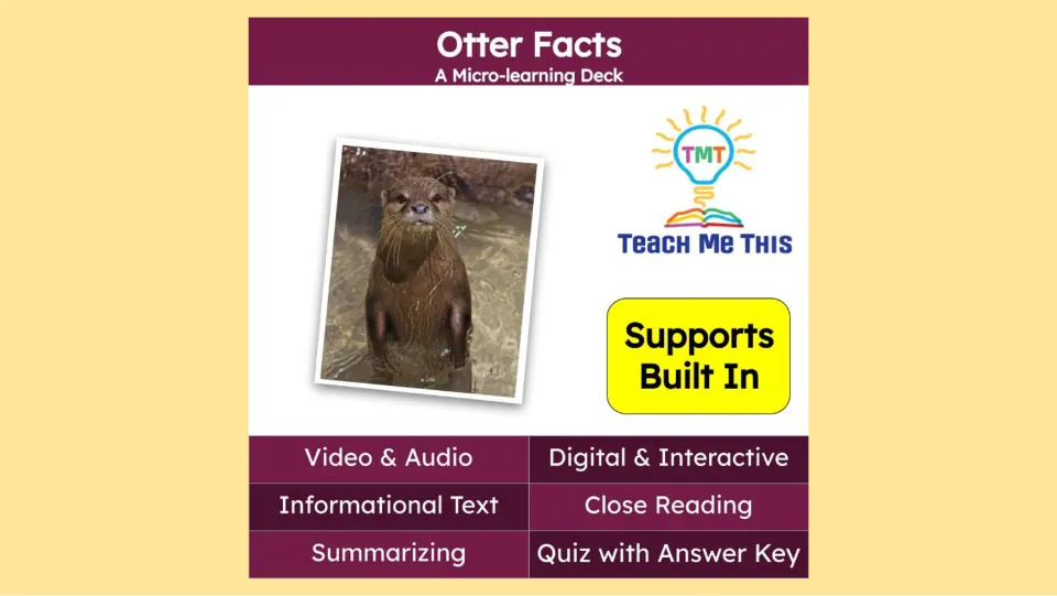 Otter Facts cover introduces a micro-learning deck with video, audio, informational text, and a quiz.