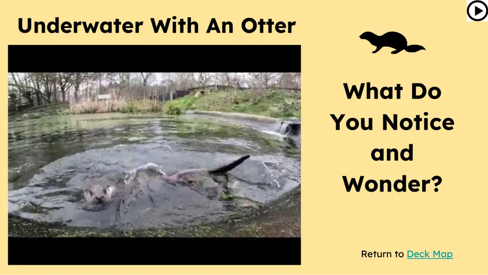 Opening video slide titled “Underwater With An Otter” asks students, “What Do You Notice and Wonder?”