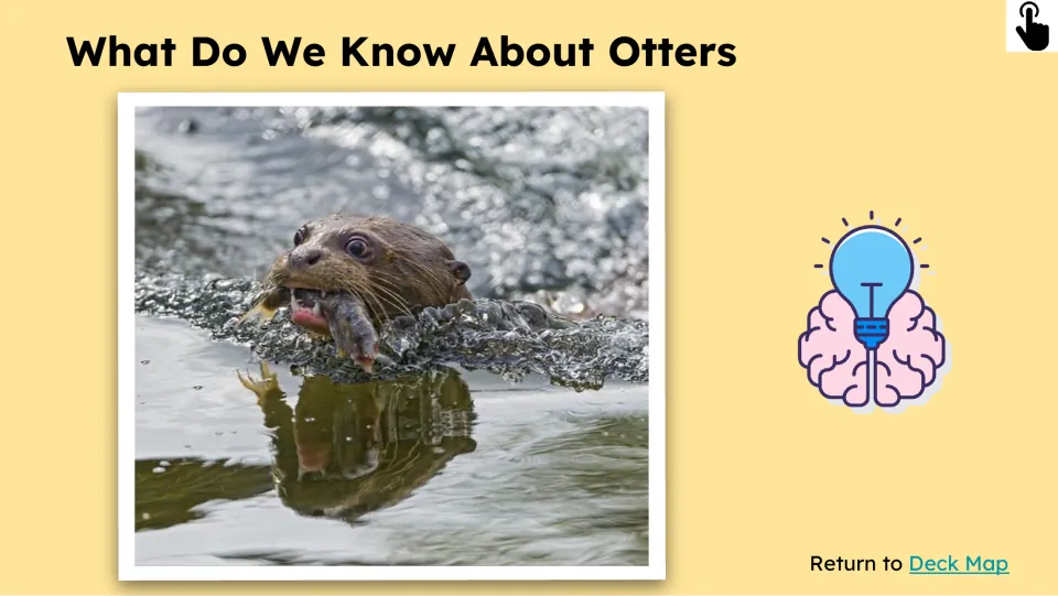 Prior-knowledge follow-up titled “What Do We Know About Otters” shows an otter swimming with prey in its mouth.