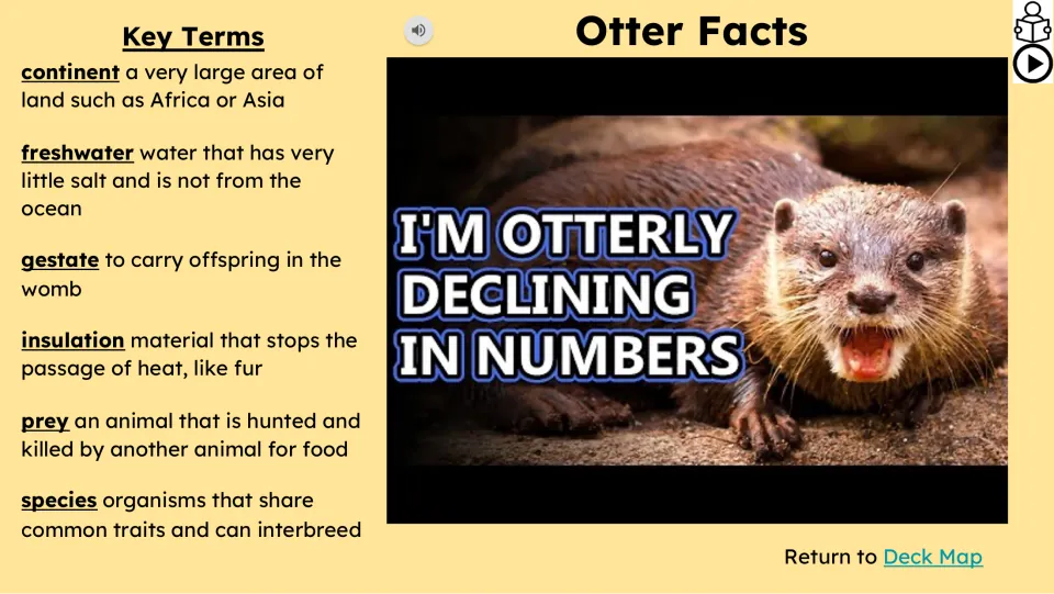 Video lesson slide defines continent, freshwater, gestate, insulation, prey, and species as key terms.