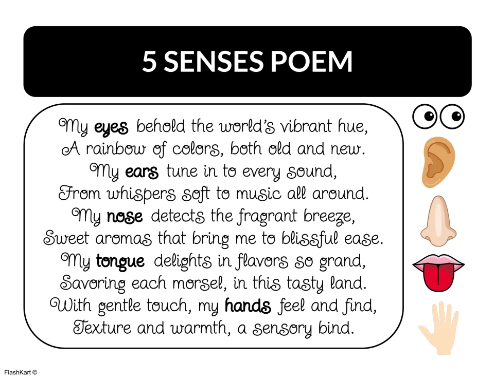 5 Senses Poem: ten rhyming lines on eyes, ears, nose, tongue and hands, with a small picture of each body part alongside