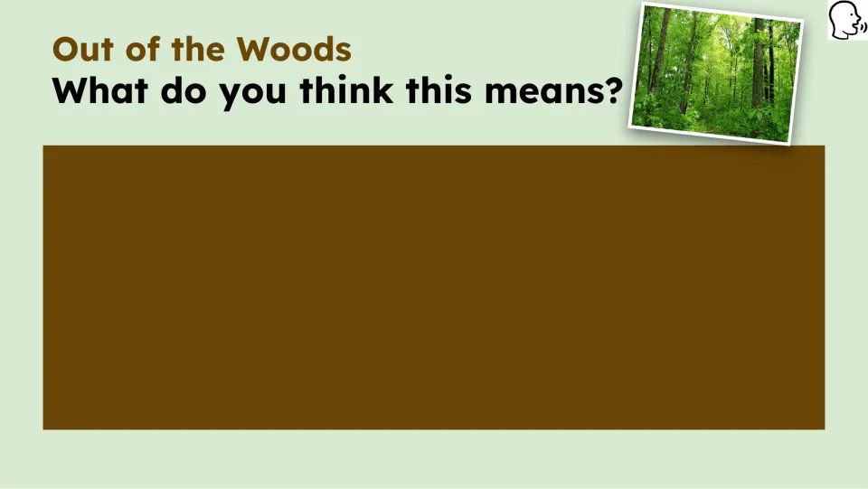 Opening idiom prompt asks students what they think the phrase means, accompanied by a photograph of woods