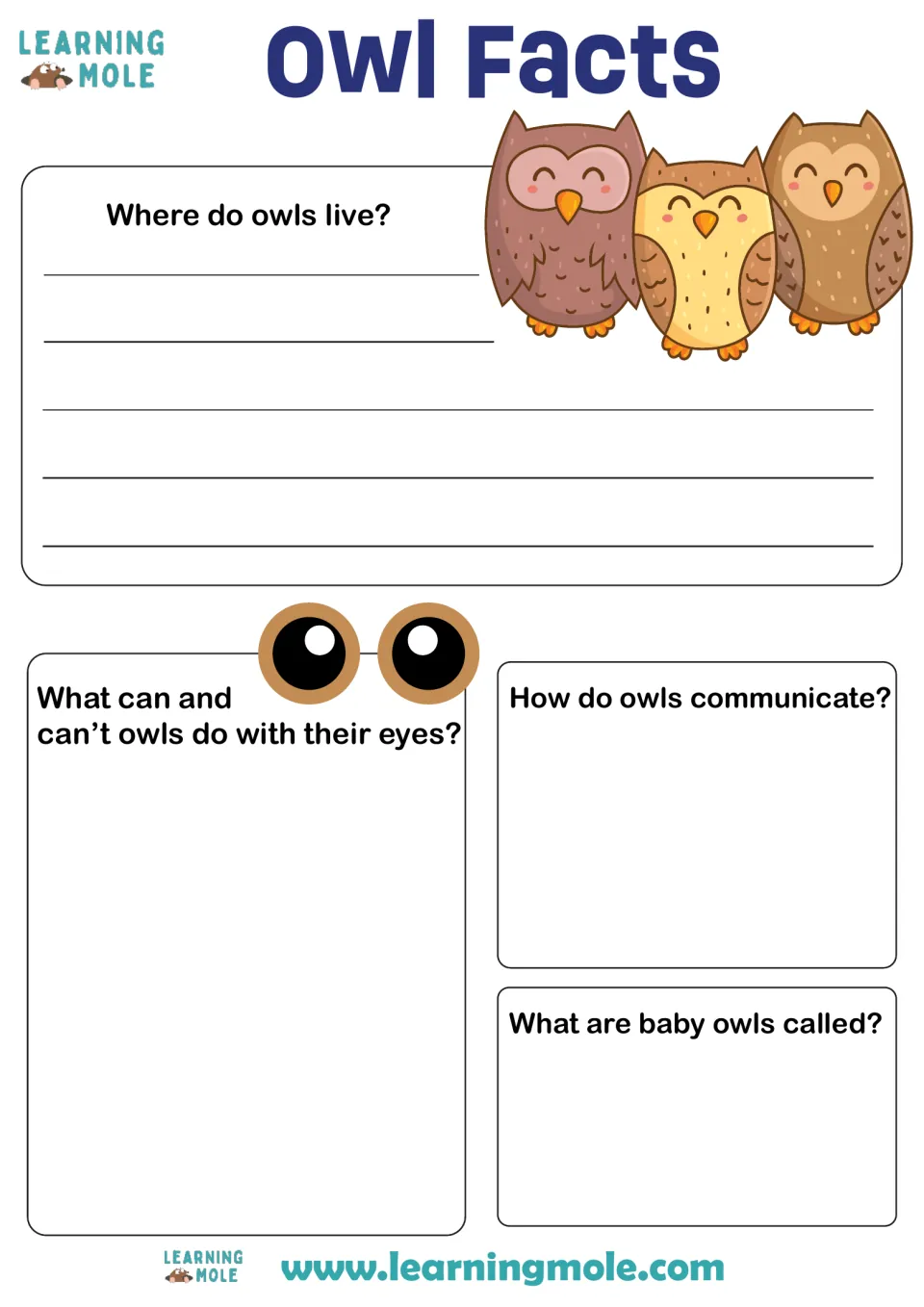 Owl Facts: students research and write where owls live, what their eyes can do, how they communicate and baby owl names