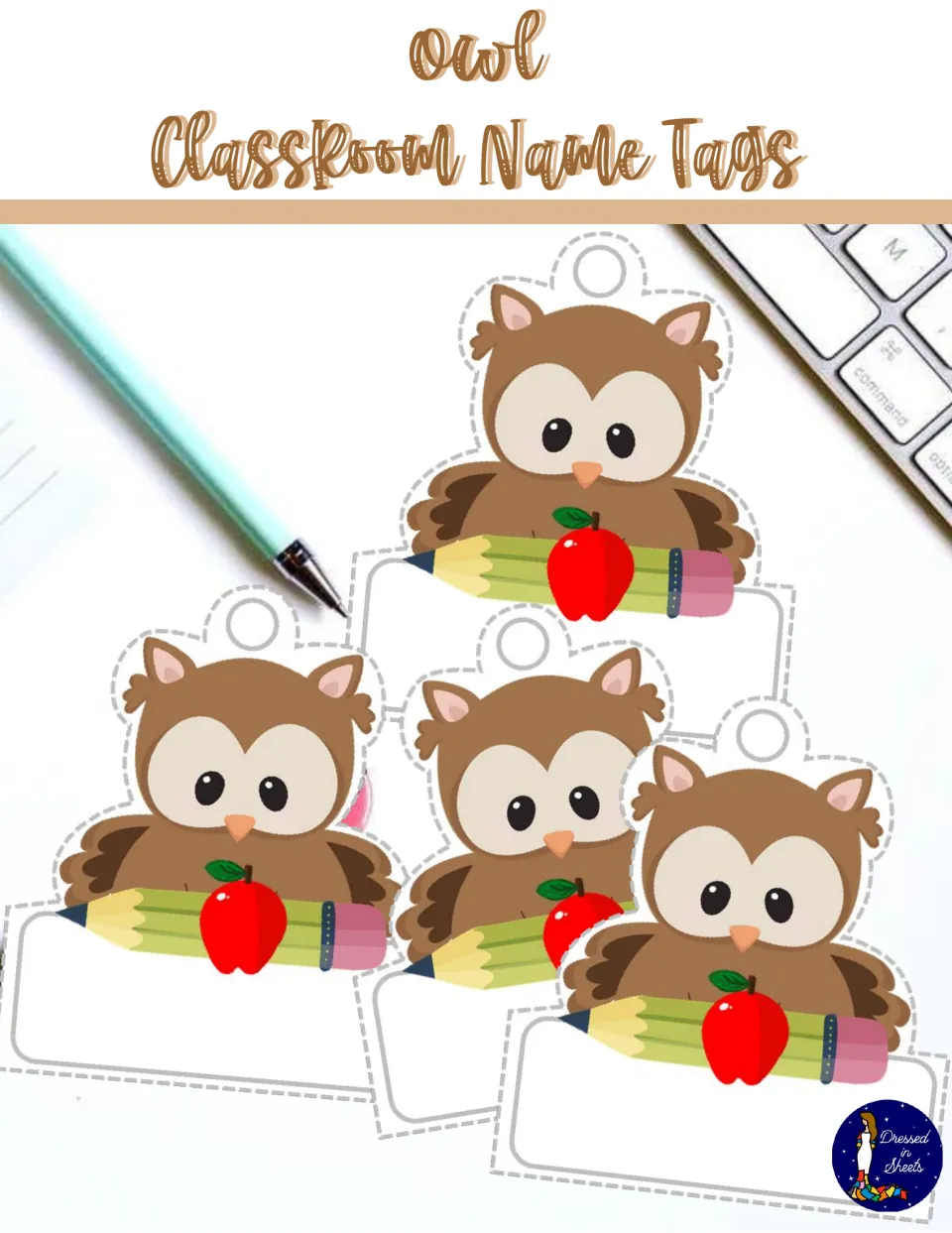 Owl Classroom Name Tags cover: four cut-out owl tags, each owl holding a pencil and red apple above a blank name space