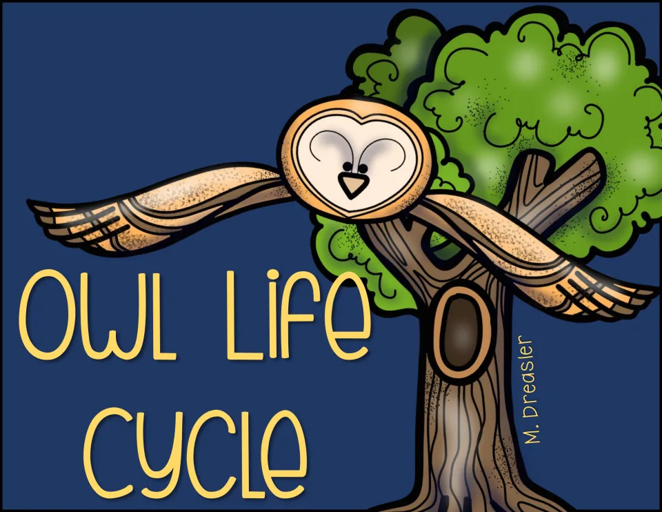 Reading packet cover titled 'Owl Life Cycle,' credited to M. Dreisler, featuring an owl flying by a tree