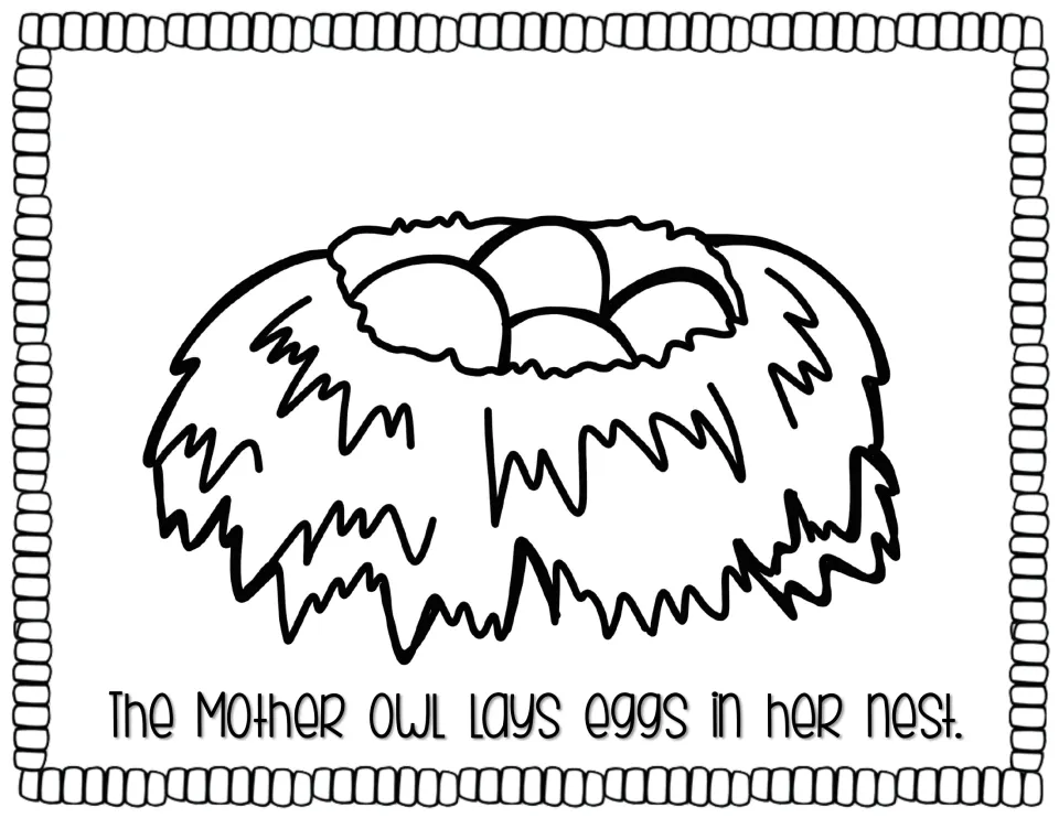 Life cycle story page 1 shows eggs in a nest and reads, 'The mother owl lays eggs in her nest.'
