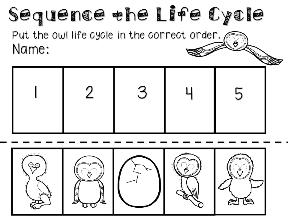Cut-and-paste sequencing activity asks students to order five pictures: egg, chick, owlet, fledgling, and adult.