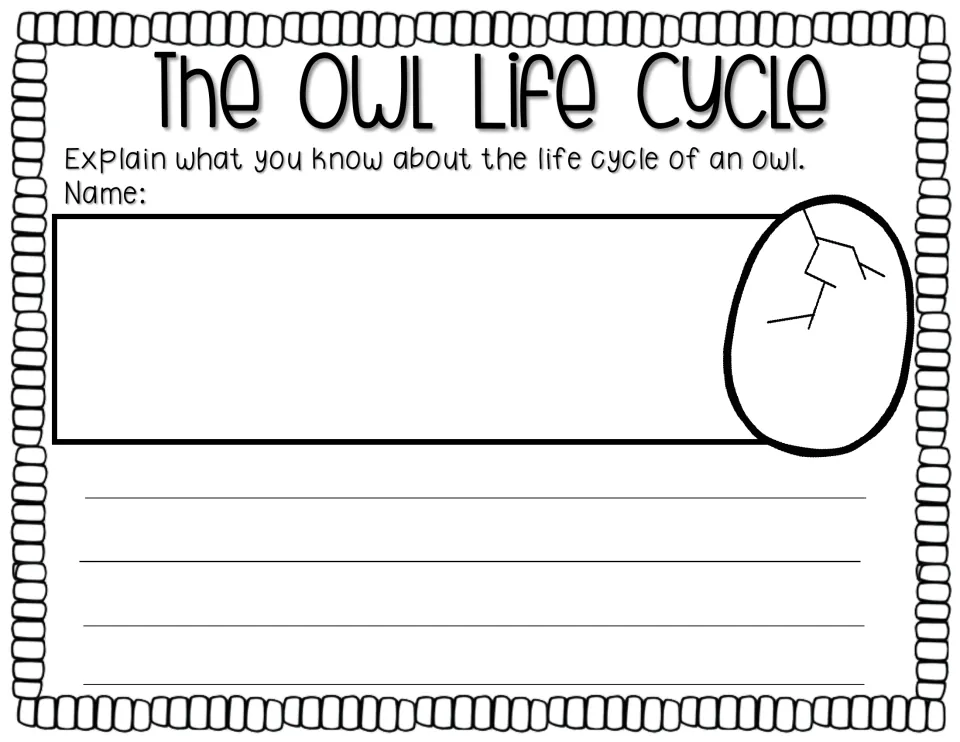 Life cycle writing prompt asks students to explain what they know about an owl's life cycle and add a drawing.