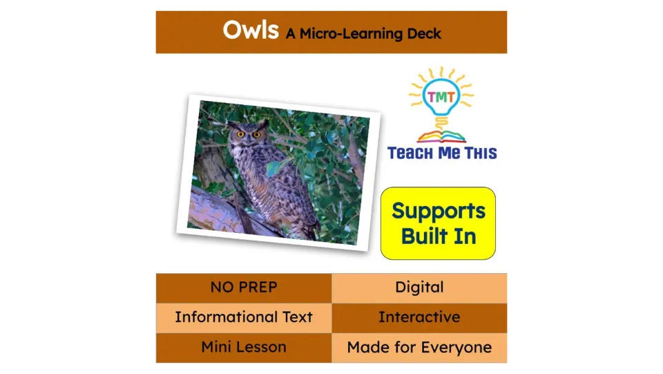Cover of Owls: A Micro-Learning Deck, identifying a digital, interactive mini lesson with informational text