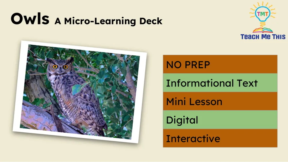 Opening title slide for the owl lesson, featuring an owl photograph and labels for its digital lesson format