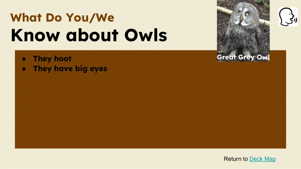 Prior knowledge slide asks what students know about owls, with statements that they hoot and have big eyes