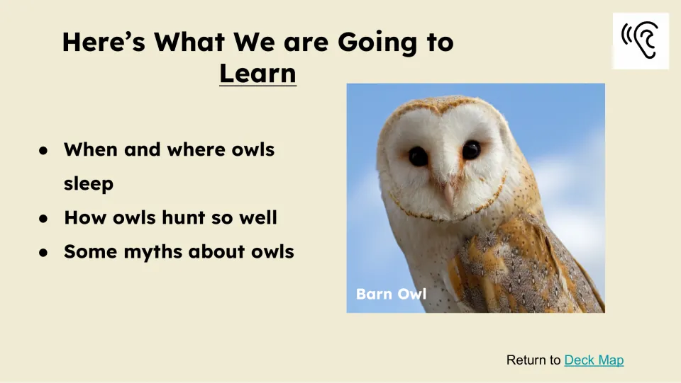 Learning goals slide lists when and where owls sleep, how owls hunt so well, and some myths about owls