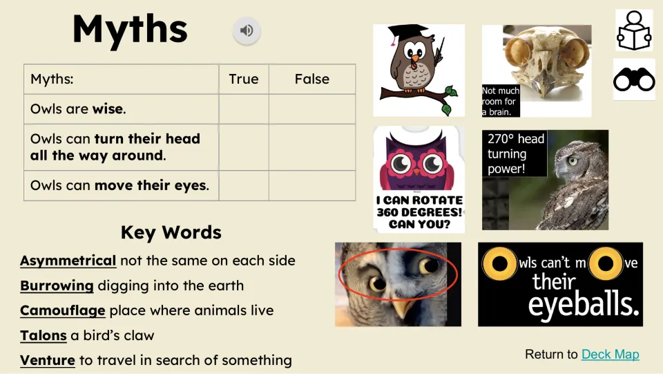 Myths slide asks if owls are wise, turn their heads all the way around, or move their eyes, and defines key words