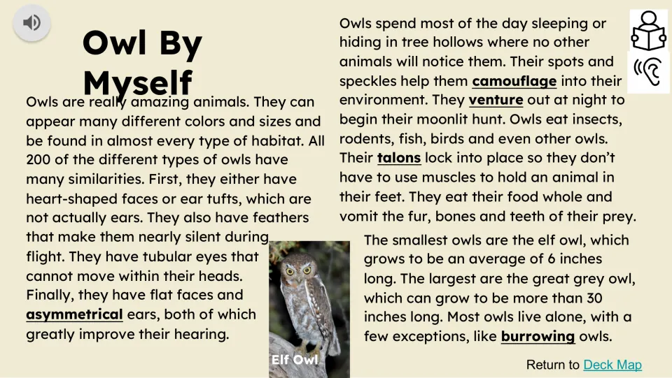 Owl By Myself reading passage covers owl features, daytime shelter, nighttime hunting, diet, and sizes