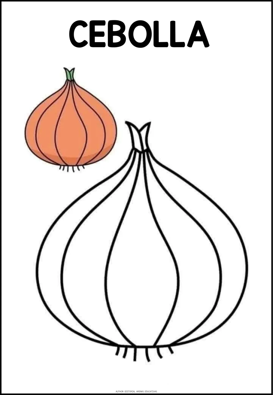 Spanish vegetable coloring activity labeled CEBOLLA (onion), featuring an onion outline and a colored example
