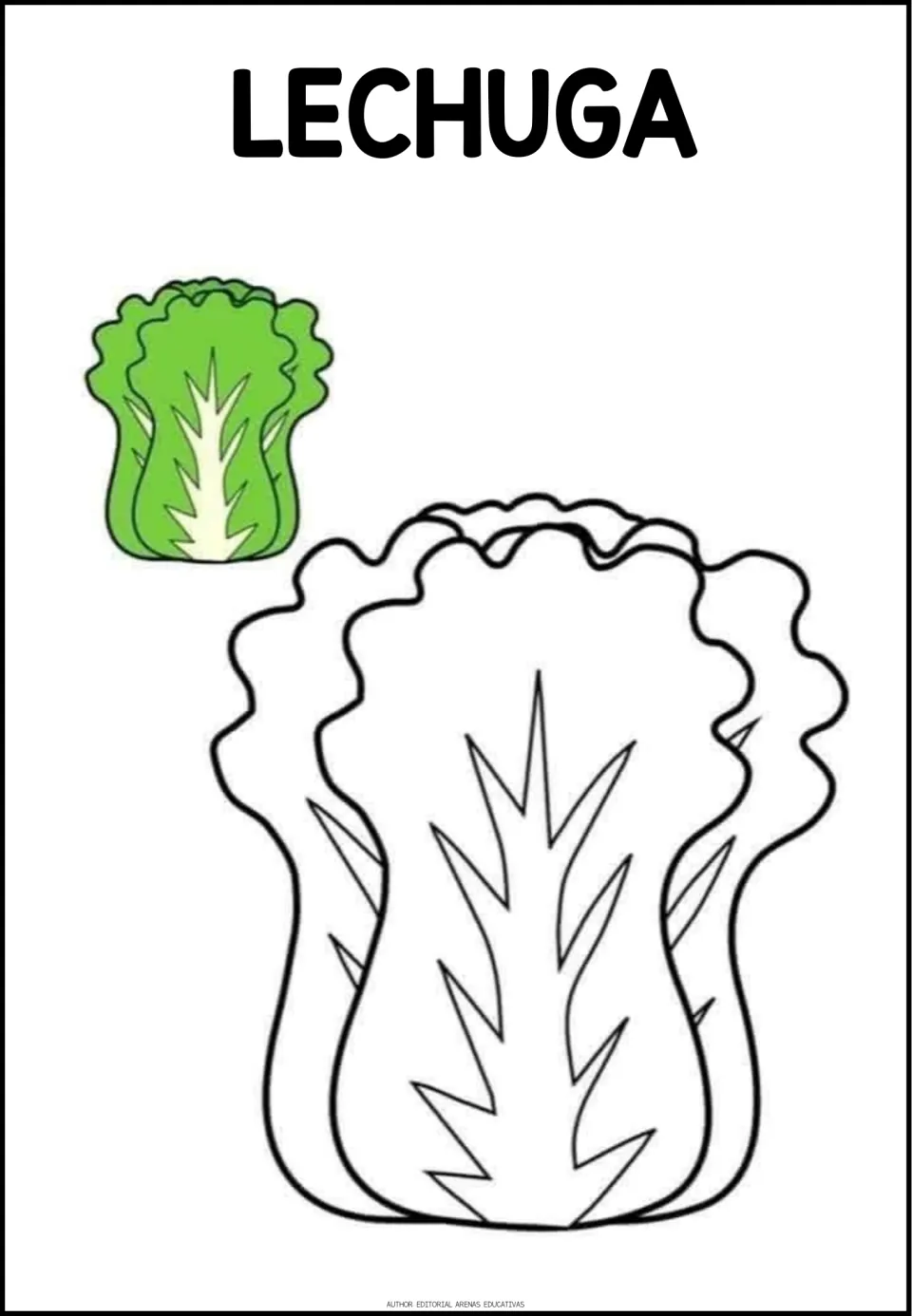 Spanish vegetable coloring activity labeled LECHUGA (lettuce), with an upright leafy head and a colored example
