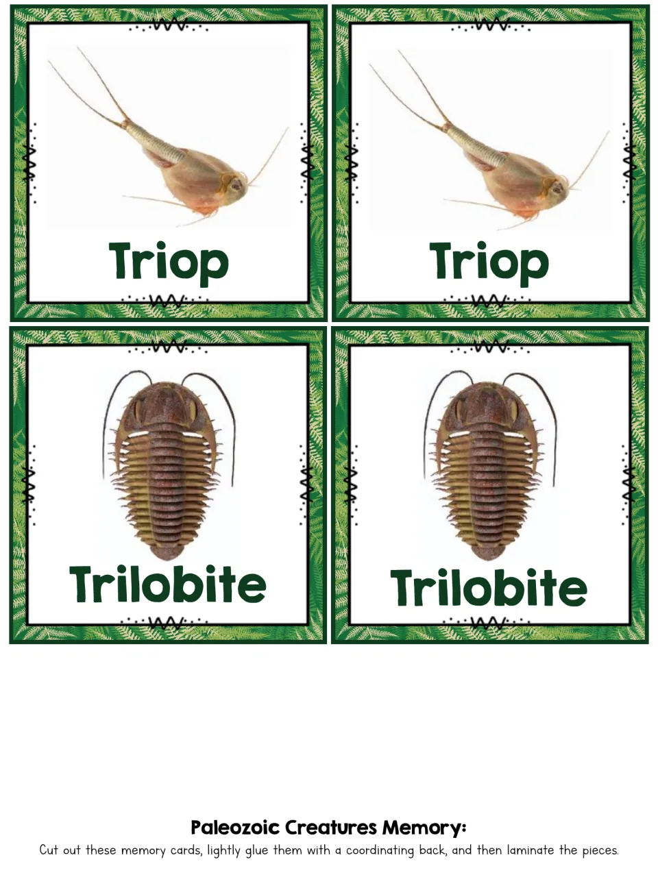 Memory match cards: two matching pairs with photos of a Triop and a Trilobite, each labeled with the creature's name