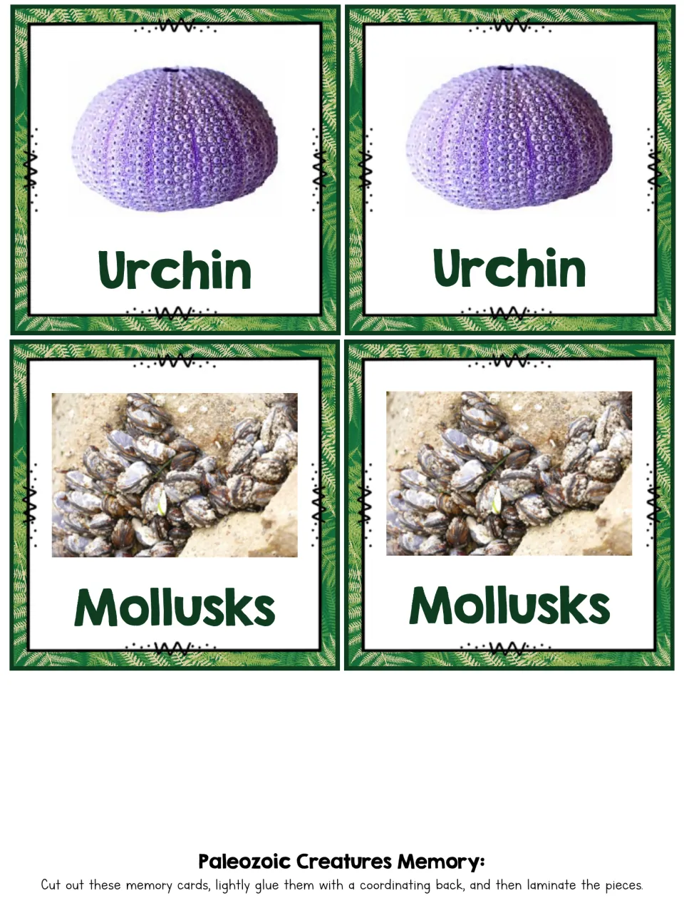 Matching card pairs for Urchin, shown as a purple shell, and Mollusks, a photo of clustered shells on a rock