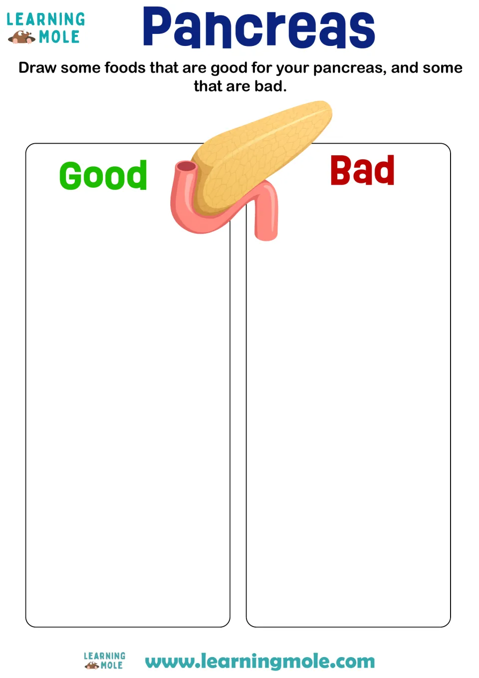 Pancreas health sort: students draw foods that are good for the pancreas and foods that are bad, under an organ drawing