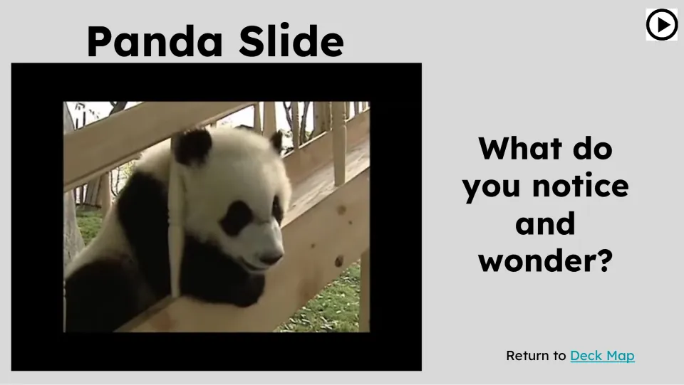 Opening panda video slide titled “Panda Slide” asks students, “What do you notice and wonder?” beside a panda