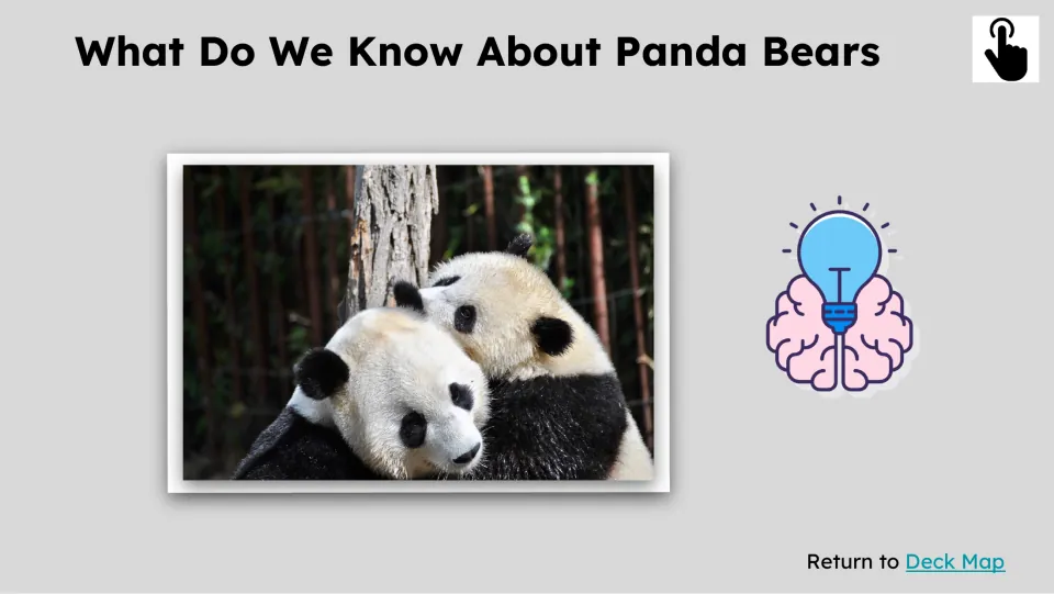 Prior-knowledge slide titled “What Do We Know About Panda Bears” shows two pandas together beside a tree