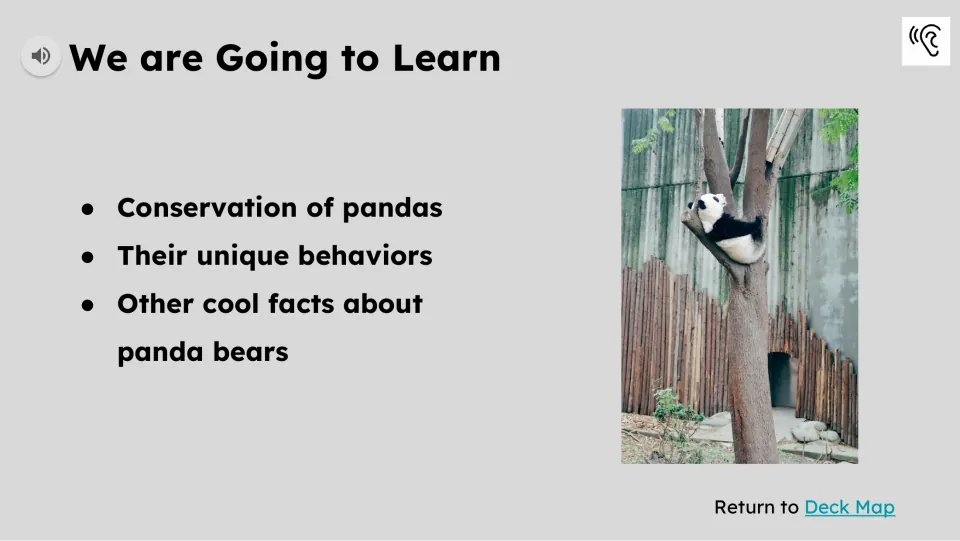 Learning-goals slide names panda conservation, unique behaviors, and other facts, with a panda in a tree