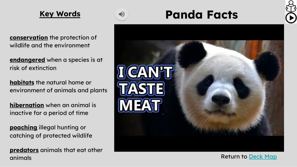 Vocabulary and panda video slide defines conservation, endangered, habitats, hibernation, poaching, and predators