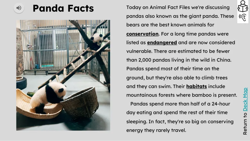 Panda reading passage covers conservation status, wild population in China, habitat, climbing, eating, and sleep