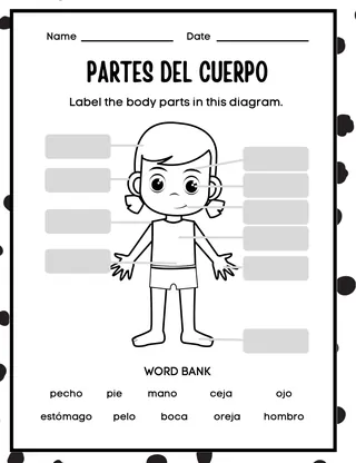 Partes del Cuerpo – Spanish Body Parts Worksheet – sample page 2
