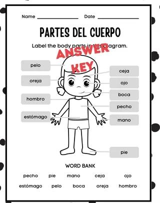Partes del Cuerpo – Spanish Body Parts Worksheet – sample page 3