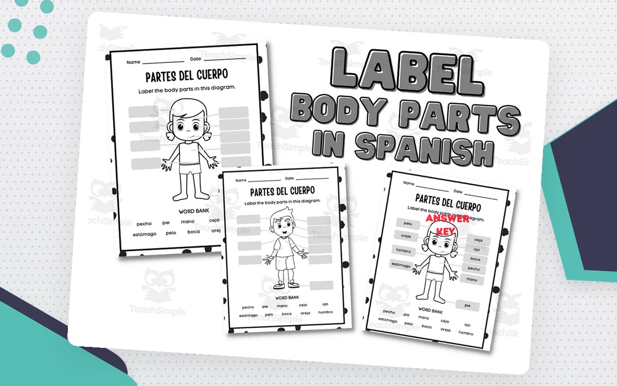 Partes del Cuerpo – Spanish Body Parts Worksheet preview