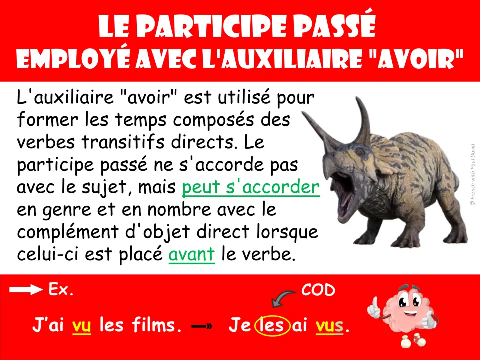 Poster on the past participle with avoir: agreement with a direct object placed before the verb, as in Je les ai vus