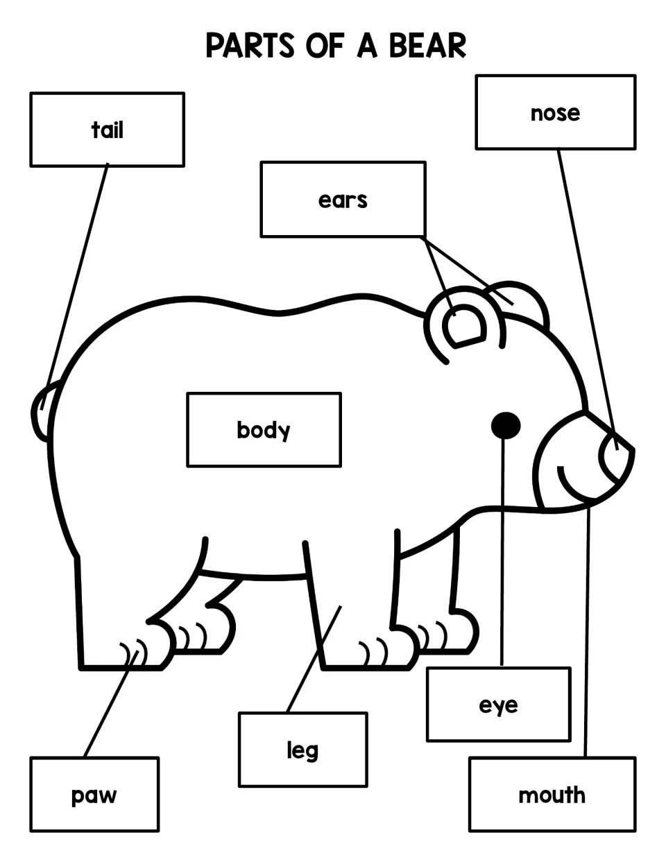 Bear reference poster labeling eight parts: tail, ears, nose, body, paw, leg, eye, and mouth.